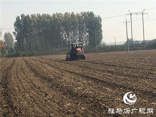 噸源種業(yè)召開 福高2號(hào) 播種現(xiàn)場會(huì)