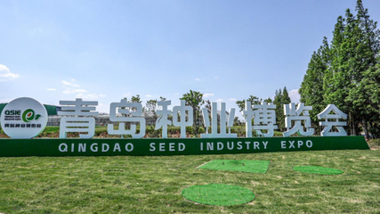 青島種業(yè)博覽會室外展區(qū)揭秘 國內外名優(yōu)品種驚艷亮相